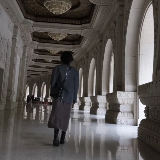 肉食动物不吃素